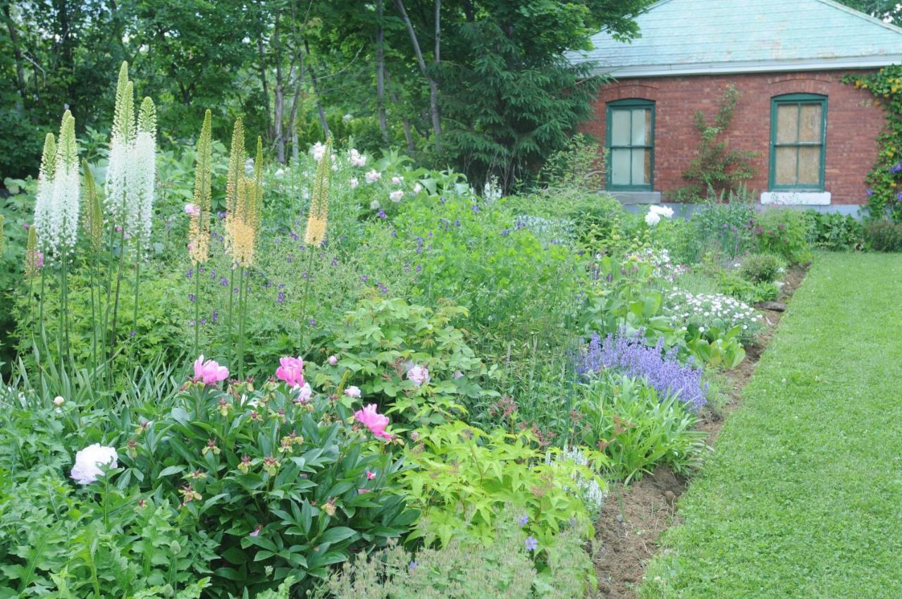 Napier House Leilighet Campbellton Eksteriør bilde